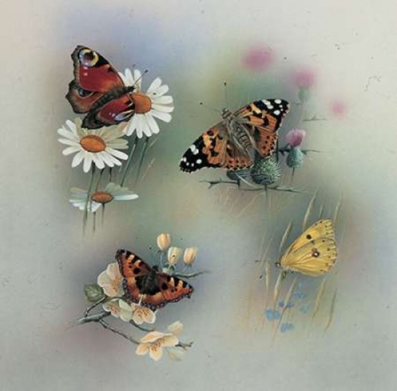 Butterfly composition Poster Print by Jan Weenink - Item # VARPDXJW2005040